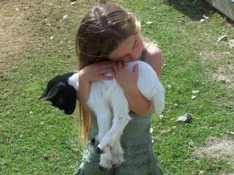 Camping L'Ambois - Camping Vendée - Afbeelding N°5